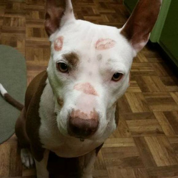 Never Selling! Who Saved Whom?! - Picture 4 of 10